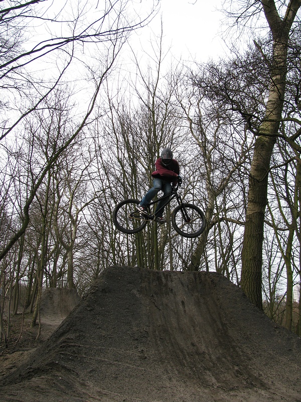 Afbeelding