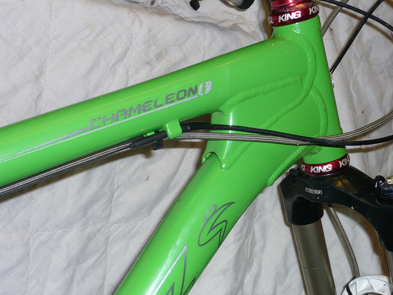 chameleon frame santa cruz