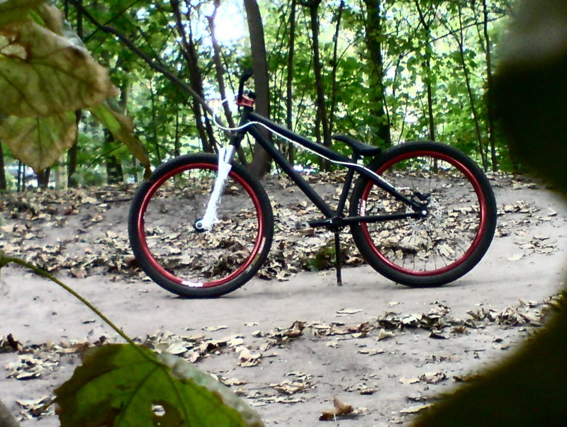Afbeelding