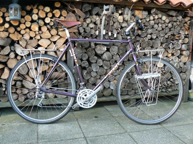 giant expedition bike